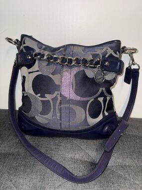 Coach Optic Metallic Signature Chain North South Crossbody Bag F19820